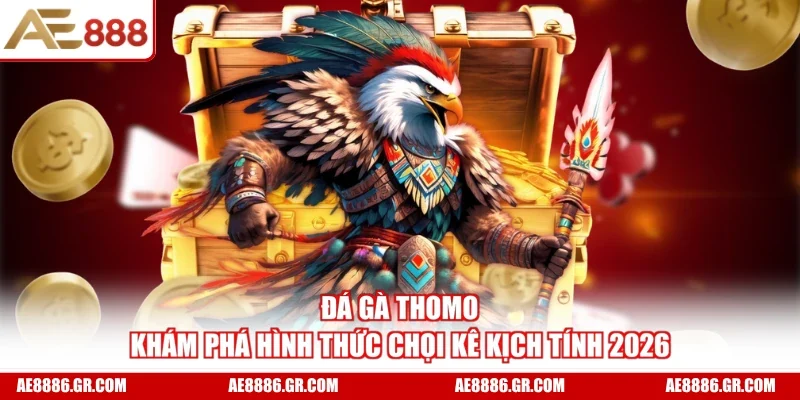 Đá Gà Thomo - Khám Phá Hình Thức Chọi Kê Kịch Tính 2026