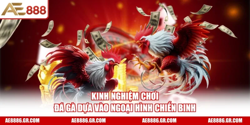 Kinh nghiệm chơi đá gà dựa vào ngoại hình chiến binh