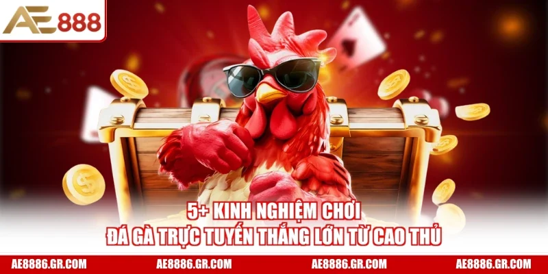 5+ Kinh Nghiệm Chơi Đá Gà Trực Tuyến Thắng Lớn Từ Cao Thủ